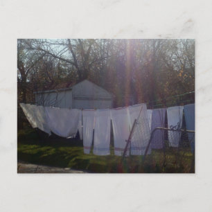 "Soaking Up The Sun" Postcard