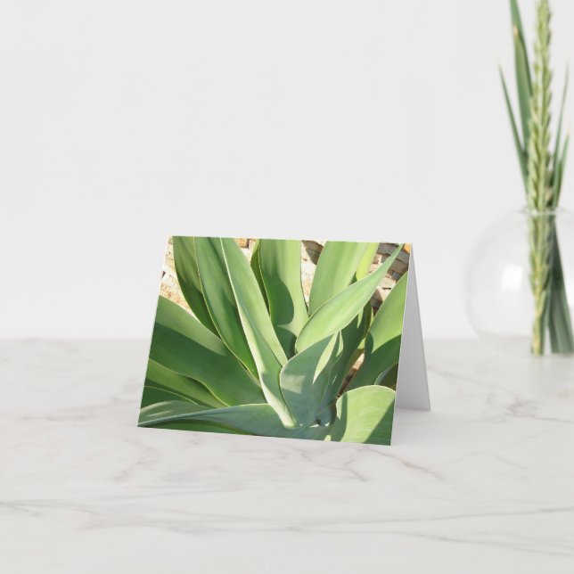 Soaking up the Sun v2 Card (Front)