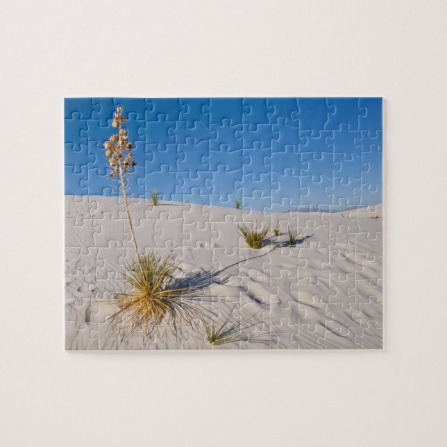 Soaptree Yucca, long Shadow, Transverse Dunes Jigsaw Puzzle (Horizontal)