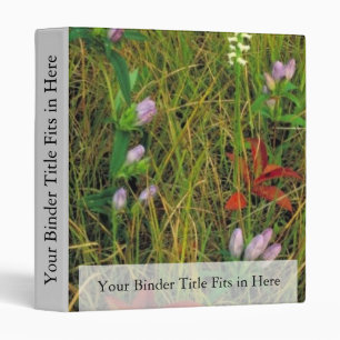 Soapwort gentian and Nodding ladies tresses Binder