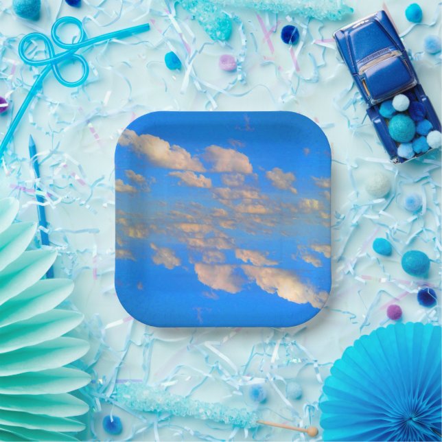 Soar, For More Paper Plate (Party)