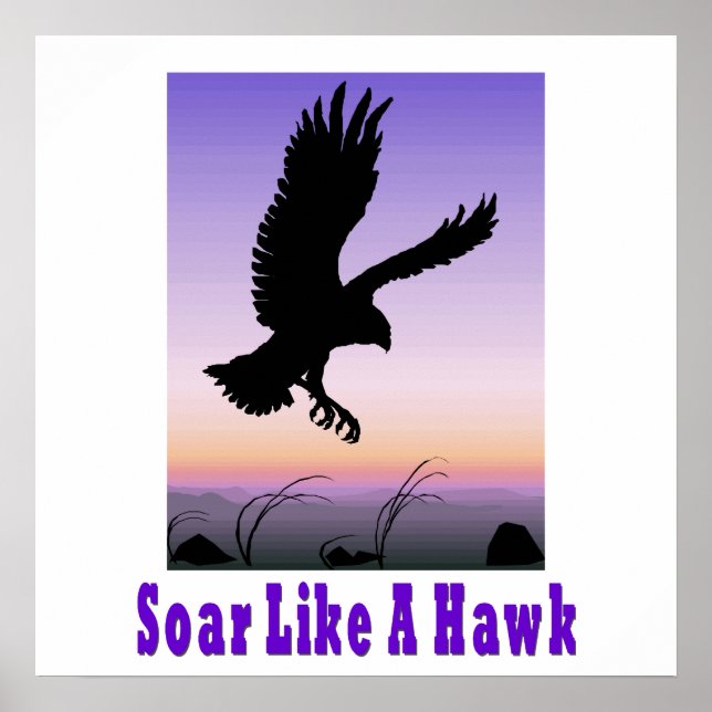 Soar like a Hawk Poster. Poster (Front)