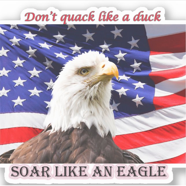 Soar Like An Eagle Patriotic Vinyl Sticker (Front)