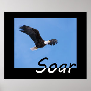 Soar Poster