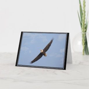 Soaring Bald Eagle BLANK card