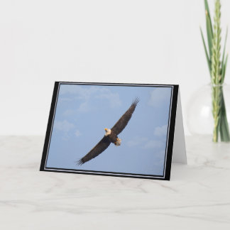 Soaring Bald Eagle BLANK card