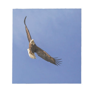 Soaring Bald Eagle Notepad