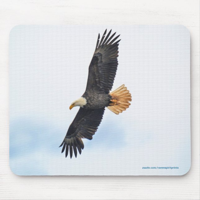 Soaring Bald Eagle Wildife Photo Art Mouse Pad (Front)