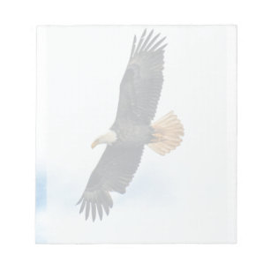 Soaring Bald Eagle Wildife Photo Art Notepad