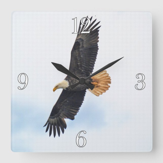 Soaring Bald Eagle Wildife Photo Art Square Wall Clock (Front)