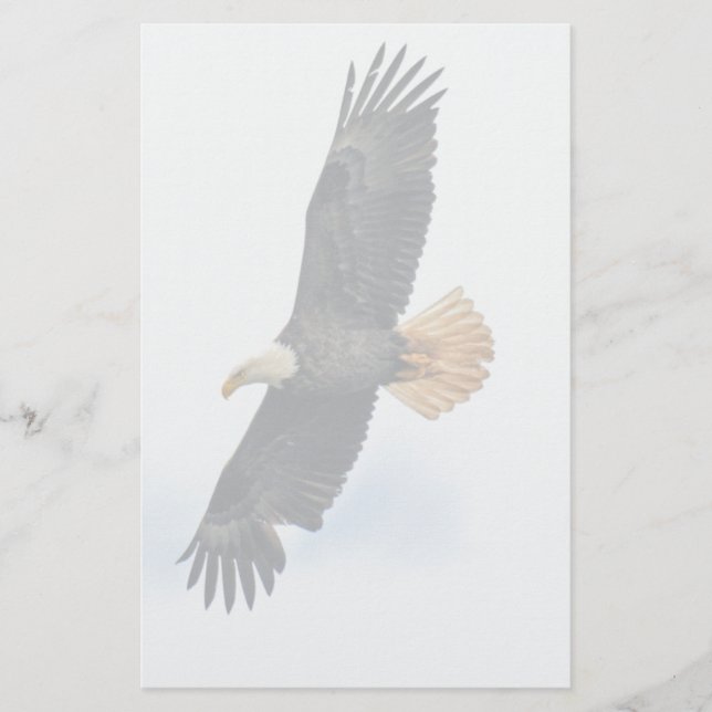 Soaring Bald Eagle Wildife Photo Art Stationery (Front)