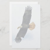 Soaring Bald Eagle Wildife Photo Art Stationery (Front/Back)