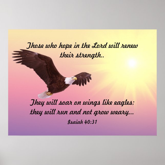 Soaring Eagle Poster (Front)