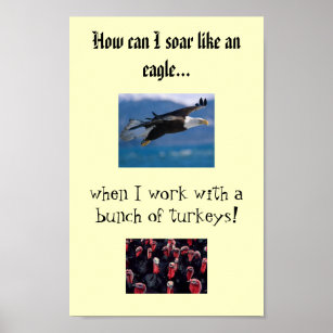 soaring eagle, Turkeys, How can I soar like an ... Poster