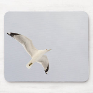 Soaring Gull Mouse Pad