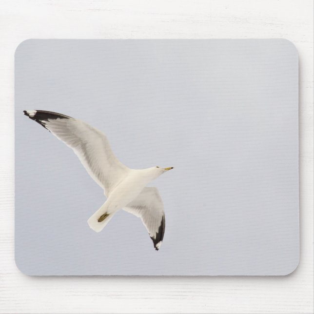 Soaring Gull Mouse Pad (Front)