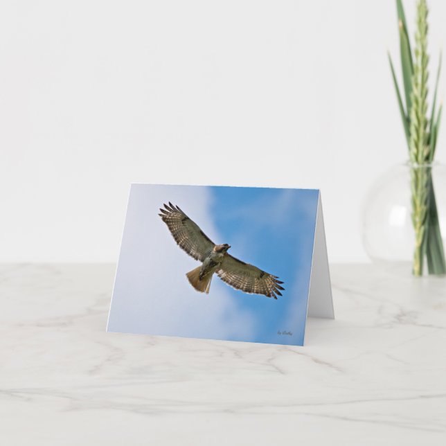 Soaring Hawk Note Card (Front)