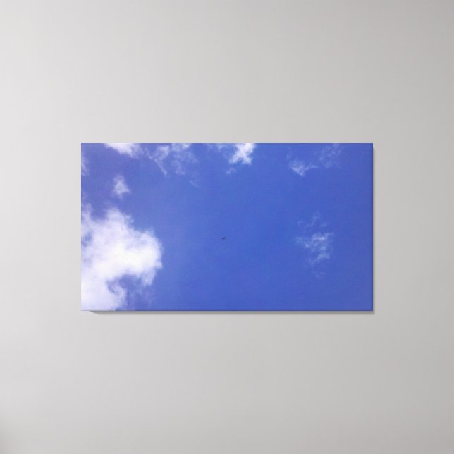 Soaring High Canvas Print (Front)