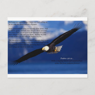 Soaring High Fine Art Postcard