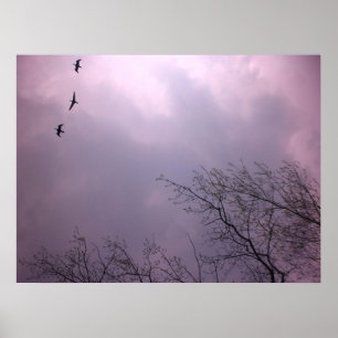 Soaring High  is our nature - Toronto Island Sky Poster