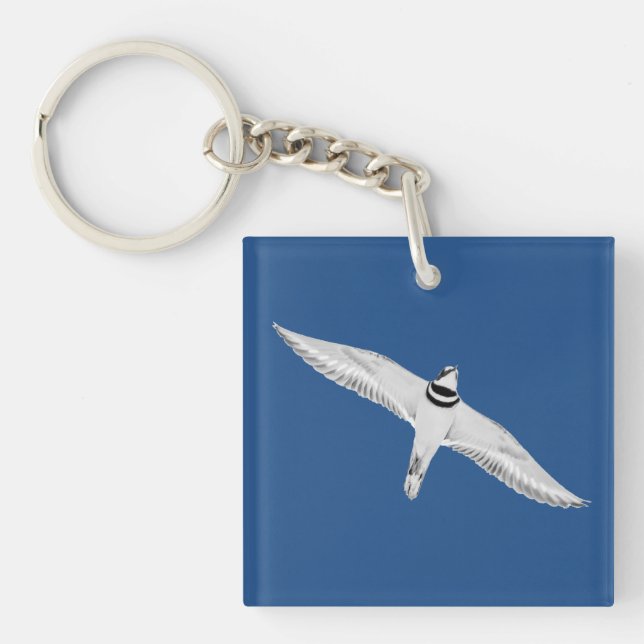 Soaring Killdeer Keychain (Front)