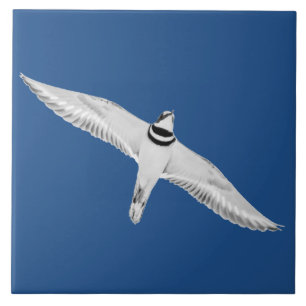 Soaring Killdeer Tile