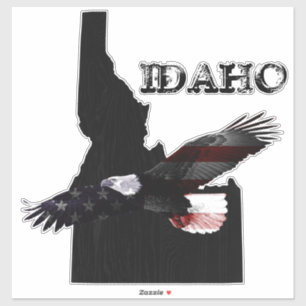 SOARING PATRIOT EAGLE IDAHO