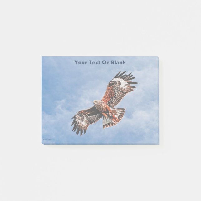 Soaring Red Kite Post-it Notes (Front)