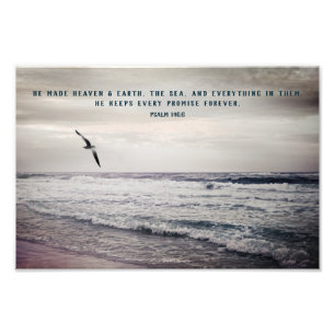 Soaring Seagull and Psalm Bible Verse Photo Print