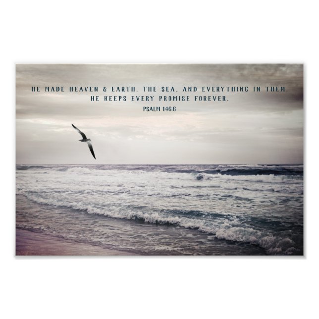 Soaring Seagull and Psalm Bible Verse Photo Print (Front)
