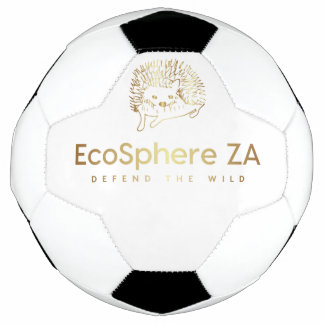 Soccer Ball