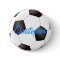 Soccer Ball - Customizable