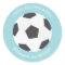 Soccer Ball Sports Themed Birthday
