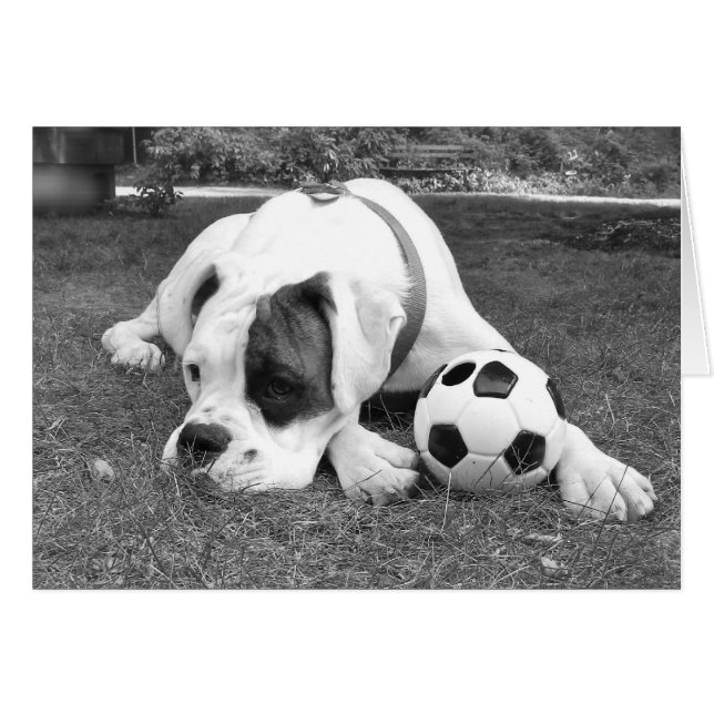 Soccer boîte blanche (Devant horizontal)