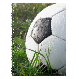 Soccer~ Foot Ball in field Notebook