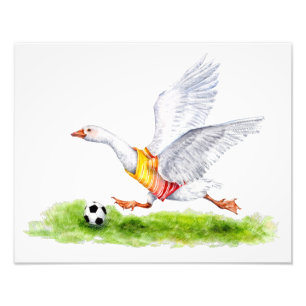 Soccer Goose Photo Print