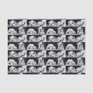 "Soccer Puppies" English Bulldog Collage Tissue Paper