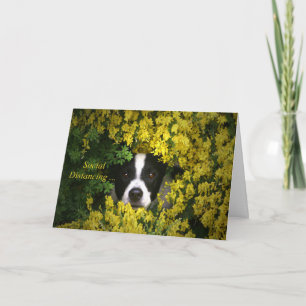 Social Distancing Corona Virus Missing You Card