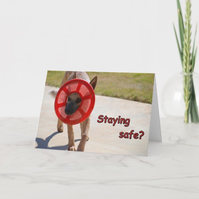 Social Distancing Dog Card (Front)