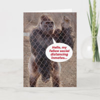 Social Distancing Gorilla Encouragement and Coping