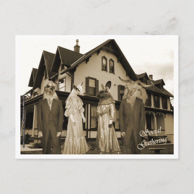 Social Gathering Postcard (Front)