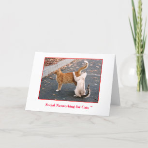 Social Networking for Cats Blank inside Card