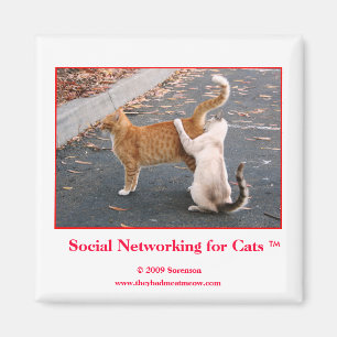 Social Networking for Cats Magnet