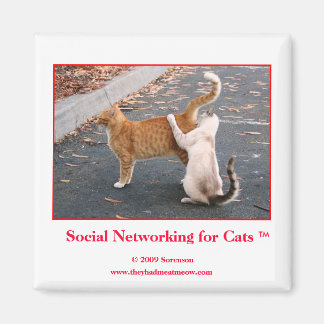 Social Networking for Cats Magnet