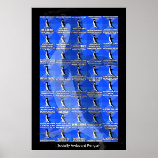 Socially Awkward Penguin poster
