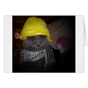 Sock Hop Kitty