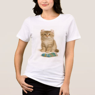 Sock It to Me – American Curl Kitten Edition Tri-Blend Shirt