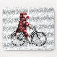 Sock Monkey on Bicycle