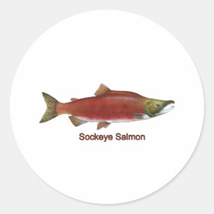 Sockeye - Red Salmon (titled) Classic Round Sticker