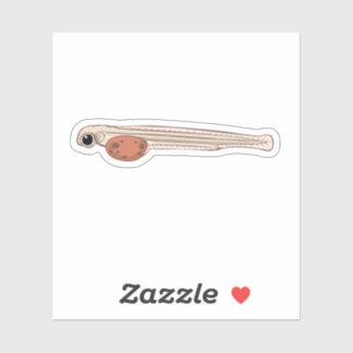 Sockeye Salmon Alevin